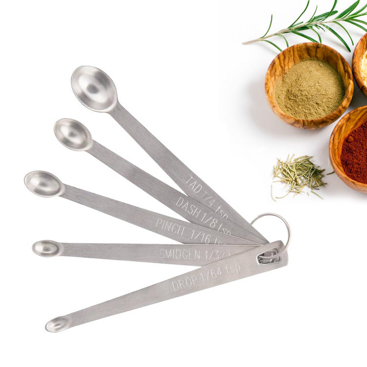 Stainless Steel Mini Measuring Spoons Set of 5
